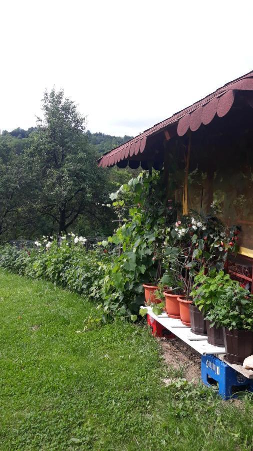 Casa Mariana - Comuna Arefu, Transfagarasan Căpăţîneni-Ungureni Eksteriør bilde