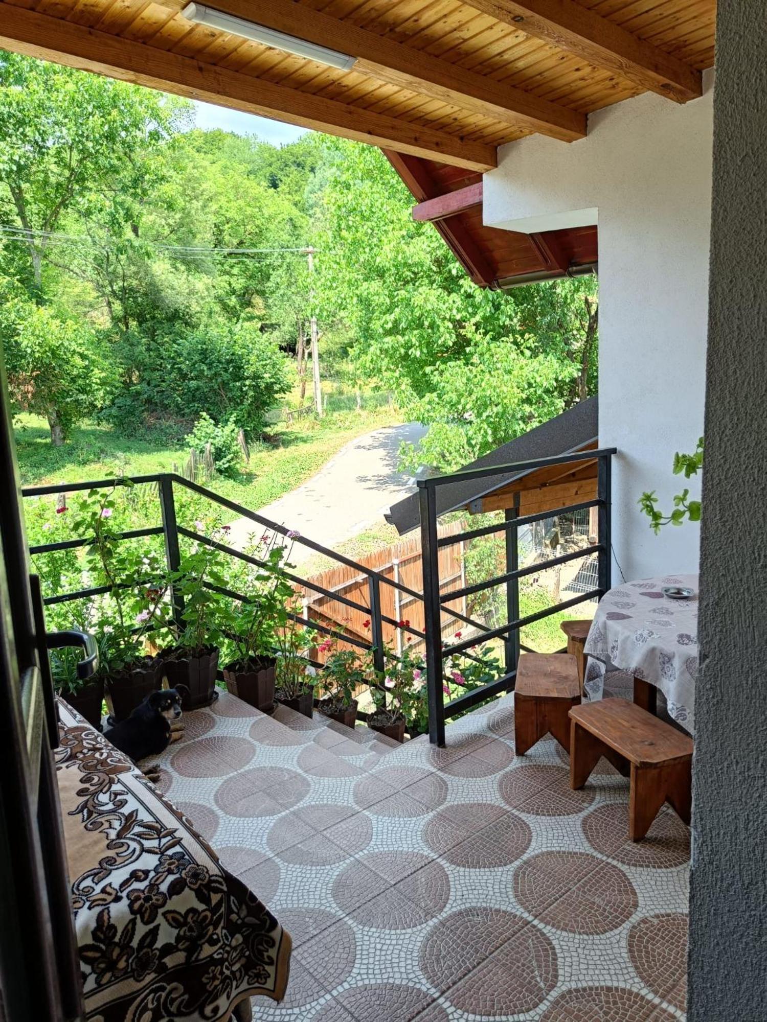 Casa Mariana - Comuna Arefu, Transfagarasan Căpăţîneni-Ungureni Eksteriør bilde